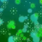 Həddindən artıq sıxlıq dünyanın turizm qaynar nöqtələrinə necə təsir edir