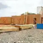 66 milyon il əvvəl kütləvi yox olmaq quş genomlarının sürətli təkamülünə səbəb oldu, araşdırma tapdı