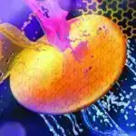 Süni intellekt qərarların qəbul edilməsinə kömək etdikdə, insanlar nə vaxt üstün tutmalıdırlar?