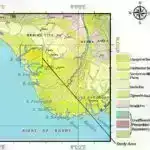 Qədim DNT, Virciniya ştatının Jamestown şəhərində tapılan yerli itlərin nəsillərini ortaya qoyur