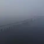 Koloradoda “meqa den”də yeni doğulmuş çıngırdayan ilanlar canlı debüt edirlər