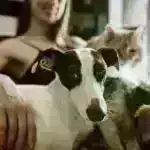 Kiçik molekullu üzvi evtektika plastikləri əvəz etmək potensialını göstərir