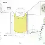 Böyük Hadron Collider borusu çətin maqnit monopolunun axtarışını həmişəkindən daha yaxınlaşdırır