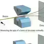 Ölçü daxil olan model fotoşəkilləri onlayn pərakəndə satışçılar, müştərilər və ətraf mühit üçün qazancdır: Tədqiqat