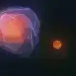 Niyə qayğı göstərən məzunlar universiteti bitirdikdə təhlükəsizlik şəbəkəsinə malik deyillər?