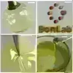 Dəqiq bitki örtüyü tədqiqatı üçün yaşıl işıq: Qlobal SIF məlumat dəstlərinin qiymətləndirilməsi