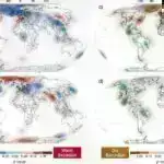 Tədqiqat inkişaf zamanı sinapsların əmələ gəlməsinin əsasını təşkil edən fəaliyyətlə tənzimlənən genetik proqramı təsvir edir