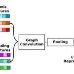 Koloradoda “meqa den”də yeni doğulmuş çıngırdayan ilanlar canlı debüt edirlər