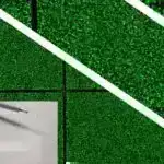 PFAS dörd şimal İllinoys çayından sınaqdan keçirilmiş demək olar ki, bütün balıqlarda tapıldı