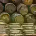 Tədqiqatçıların fikrincə, LLM-lər təhsildə Platonik epistemologiya standartlarına cavab vermək üçün uyğun deyil