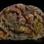 Baymax tikə bilərik?