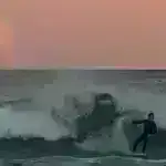 Süni intellekt bir video oyuna baxaraq insanlara necə təsir etməyi öyrəndi