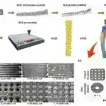 Qlobal meşələrin qırılması ilə mübarizə üçün AI-dən istifadə