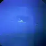 Lord Kelvin: 19-cu əsr alimi dünyanı dəyişdirmək üçün tədqiqat və innovasiyanı necə birləşdirdi