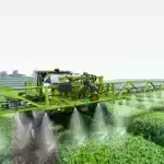 Neandertal kimi bişirin: elm adamları neandertalların quşları necə yediyini öyrənmək üçün qədim qəssab üsullarını təkrarlamağa çalışırlar