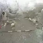 Neandertal kimi bişirin: elm adamları neandertalların quşları necə yediyini öyrənmək üçün qədim qəssab üsullarını təkrarlamağa çalışırlar