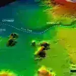 İnsan dərisi bakteriyalı dostu düşməndən necə fərqləndirir