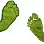 Yeni fosil balıq növləri Yerin təkamül marşının sübutlarını artırır