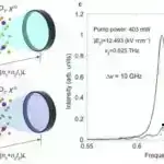 Yeni dəniz növləri göz qabağında “gizli” tapıldı