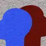 Genomika xizək itlərinin Sibir nəslini ortaya qoyur