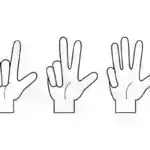 Fransız Polineziyasında balina əsaslı turizmin bumu narahatlıq doğurur