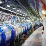 Aclıq neyronlarını tutan beyin tıxacları piylənməyə səbəb olur