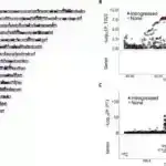 Elm adamları dino öldürən asteroidin mənşəyini dəqiqləşdirirlər: Yupiterdən keçmiş