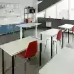 Böhran zamanı qavrayış və aldatma: İnformasiyanın yayılmasına imkan verən mesajların və mənbələrin xüsusiyyətləri