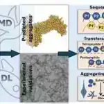 Tədqiqatçı deyir ki, sağlam torpaqlar bağırsaqlarınız, beyniniz və rifahınız üçün yaxşıdır
