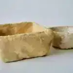 Vəhşi qohumlardan super pomidorlara qədər: Yeni genetik potensialın üzə çıxarılması