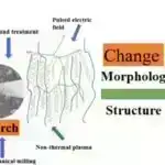 Elmi jarqon, köklü tədris metodları və tələbə rolları elmə bağlılığı boğur, araşdırma deyir