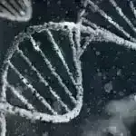 Qlobal cənub şəhərlərində sərinləşdirici yaşıl sahələr yoxdur