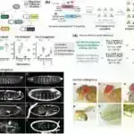 Eksperimental məlumatlar ulduzlarda ağır elementlərin yaranması ilə bağlı sirri açmağa kömək edir