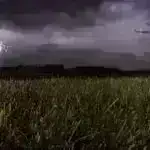 Şişin yaratdığı B hüceyrə dəyişiklikləri üçlü mənfi döş xərçəngində müalicəyə cavab üçün potensial biomarker aşkar edir