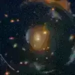 Alimlər antibiotiklərə davamlı bağırsaq infeksiyalarını müalicə etmək üçün 18 bakteriya ştammını müəyyən edirlər