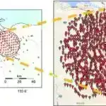 Araşdırmalar göstərir ki, növbəti iki onillikdə ekstremal hava sürətlə güclənəcək