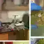 Maşın öyrənmə texnikası tədarük zəncirlərində ehtimal olunan mühasibat saxtakarlığını proqnozlaşdırır