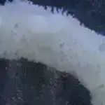 Alimlər stimullaşdırılmış fonon polaritonları vasitəsilə nəhəng THz Kerr effektini nümayiş etdirirlər