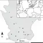 Davamlı məhsullar üçün əsas kimi göbələk miselyumundan istifadə