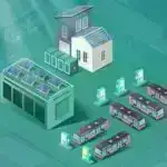 Hüceyrələr toxumaları sıx bağlamaq üçün kondensasiyadan necə istifadə edirlər