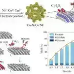 Alternativ birləşmənin bitki ikincil metabolizminə necə təsir etdiyini araşdırmaq