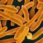 “Carousel Lens” vasitəsilə dərin məkanı böyütmək – nadir uyğunlaşma kosmologiyanı öyrənmək üçün unikal imkan təqdim edir