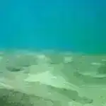 “Carousel Lens” vasitəsilə dərin məkanı böyütmək – nadir uyğunlaşma kosmologiyanı öyrənmək üçün unikal imkan təqdim edir