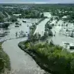Braziliya baytarları Pantanal yanğınında yanmış yaquarın yanıqlarını sağaldırlar