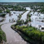 Braziliya baytarları Pantanal yanğınında yanmış yaquarın yanıqlarını sağaldırlar