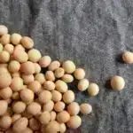 İlk maye-maye ekstraksiya sınağı məsaməli mayelərin zərərli və ya arzuolunmaz spirtləri qarışıqlardan ayıra biləcəyini tapdı.