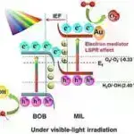 Tədqiqat, fraksiya ilə doldurulmuş muare super şəbəkələrində yeni kvant anomal kristalını proqnozlaşdırır