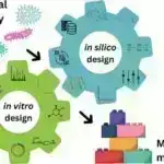 Tədqiqatlar göstərir ki, xromosomlarda DNT-nin təşkili nukleosomlar arasında zəif qarşılıqlı əlaqə ilə izah edilə bilər.