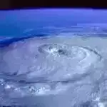 Süni intellekt iNaturalist-ə Kaliforniya bitkilərini misli görünməmiş dəqiqliklə xəritələməyə imkan verir