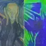 Rockingham’ın kiçik pinqvinlərini xilas etmək üçün mübarizə